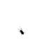 A.Duarte¹³